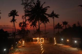 Dynast - The Abode of Art at Marari - 9