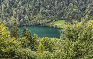 Ferienwohnung Im Erdgeschoss - 7