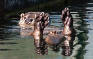 Nice Home In Ludvigsborg With Wifi - 8