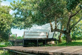 Tropical eglamping - 1