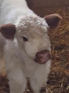 Ferienwohnung Ida - 6