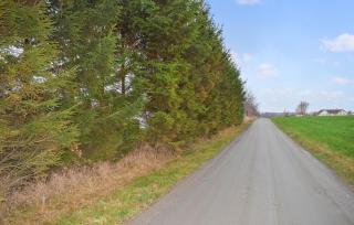 1 Bedroom Lovely Home In Ystad - 3