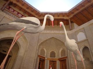 AIST Hotel & Terrace - Lyabi-Hauz, Bukhara - 1