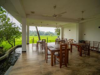 Man Guest Polonnaruwa - 6