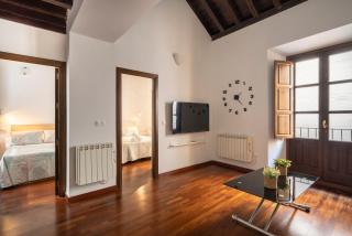 EnjoyGranada Derecho Homes - 5