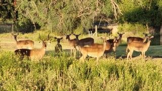 Stay at 64 Omeya - 8