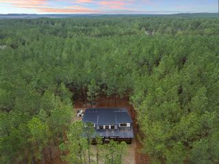 The Gallery In The Pines Luxury Cabin - 6