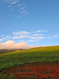 Serendipity Guest Farm Byrne - Byrne - 7