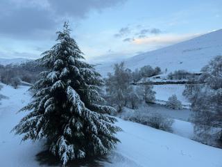 Appartement loudervielle - 3