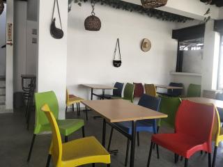 Bosque de los guaduales - 8