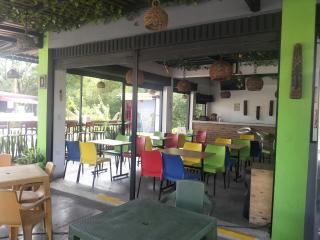 Bosque de los guaduales - 5