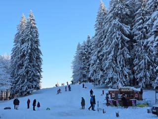 Pensiunea Montien - 2