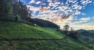 Munnar Valley View Annex - 7