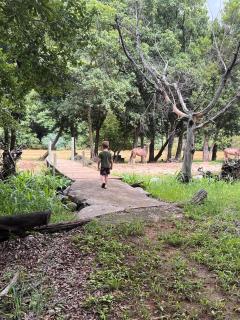 Blyde River Studio Units - bottom unit - 4