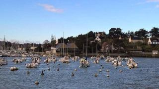 Duplex Atypique Au Port de Dahouet - 0