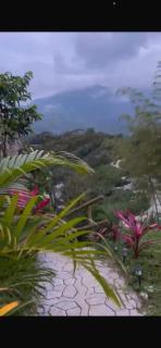 Green View Nature Glamping Cocorná - 9