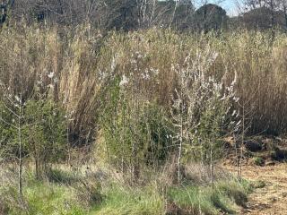 Ma petite chaumière - 7