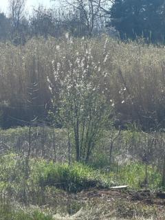 Ma petite chaumière - 2