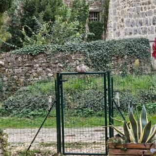 La détente ! Petit déjeuner inclus - 1