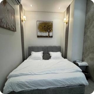 رفاهية luxury شقة متكاملة الخدمات بمدخل خاص في دور ارضي بتنال - 4