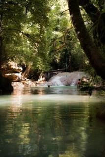 Domaine de Montaud - Vacances en famille ou entre Amis au coeur de la Provence - 1