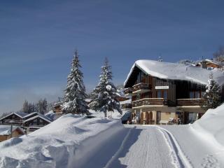 Le Chalet de Bisanne - 9