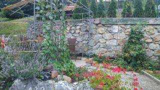 Darja Guesthouse - Dob - 8