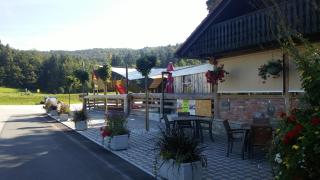 Darja Guesthouse - 2