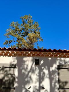 Casa Bohemian - 7
