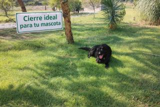 Cabaña Crisma - San Rafael Mendoza - 5