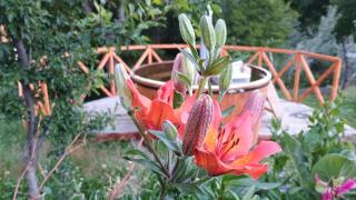 Cabaña Rakin Guilliw - 1