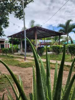 Hostal Bullshark - 7