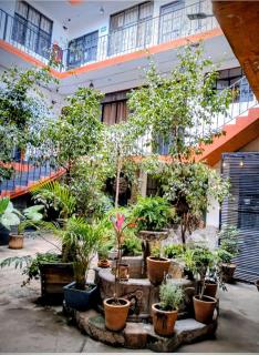 Hotel Kasa Sarita Centro SMA - 0