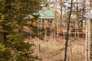 Mountain Modern log Cabin, Deck, Hot Tub and Firepit - 2
