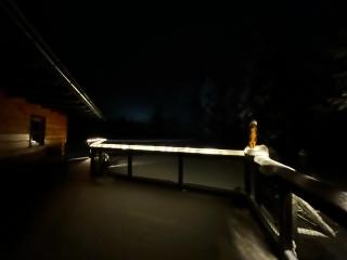 Chalet am Teich Familie Gänser - 1