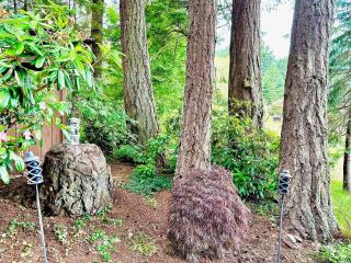 Orcas Island Two-Bedroom Cottage - 1