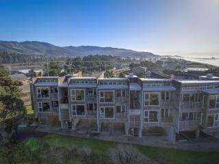 Oceanfront Bliss King Suite & Pet-Friendly Stay - 1