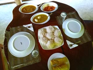 Nature view Safari paradise - 7