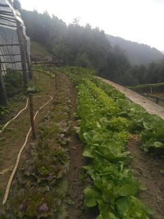 Agriturismo Fiorendo - 4