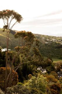 The Loft - Hot Tub, Views & Nature Escape - 4