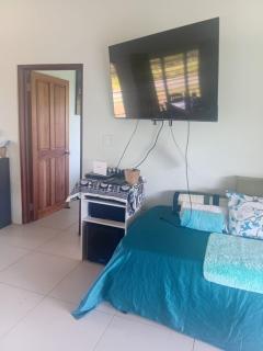 Koro Vista SavuSavu Northern Division - 2