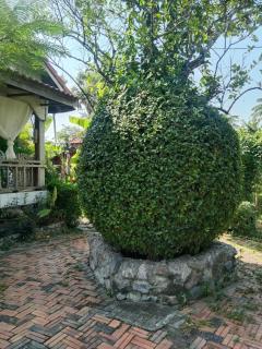 Phum Khnhom Bungalow - 6
