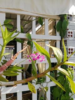 Phum Khnhom Bungalow - 2
