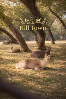 Hill Town Hotel Islamabad - 0