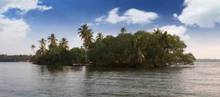 Vinis Farm - A Private Island Stay -Privacy Redefined !!! - Munroe Island - 3