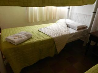 Cardones de Molinos - Molinos - 1
