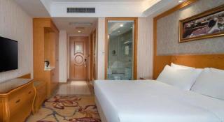 Vienna Hotel Chengdu Chadianzi Toursim Center - 8