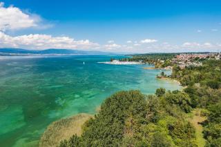 Guesthouse La Moliere, 3 bedrooms, private house, horse farm, full nature - 7