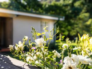 Meander Stay Clarens - 5