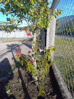 Hot Cold Water Spacious Studio Apartment - 2